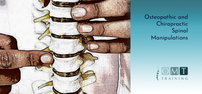 Osteopathic and Chiropractic Spinal Manipulations – Level 2