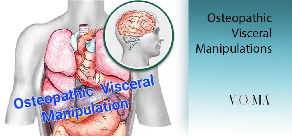 Osteopathic-Visceral-Manipulations